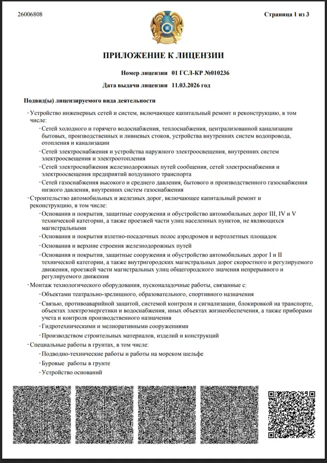 Приложение к лицензии: подвиды лицензируемого вида деятельности, 3 страницы